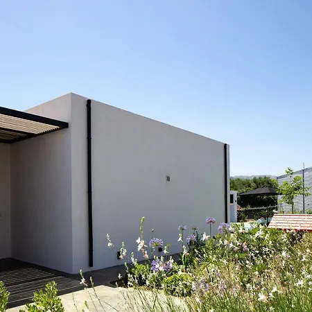 Physis - Metal & Wood Villa Pigí